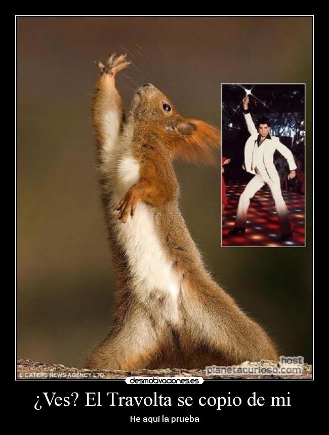 carteles fefeeeweweewewewew desmotivaciones