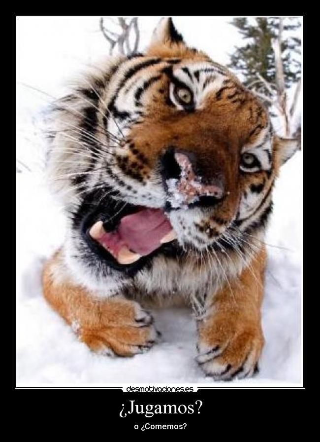 carteles pop desmotivaciones