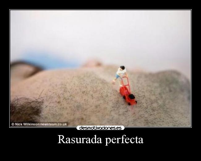 carteles desmotivaciones