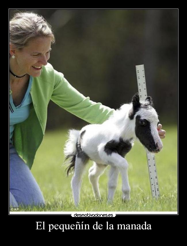 El pequeñín de la manada -