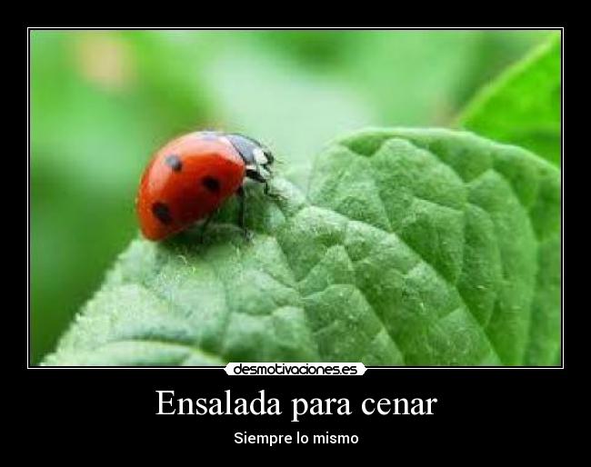 Ensalada para cenar - 