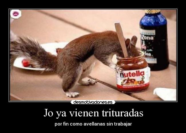 Jo ya vienen trituradas -