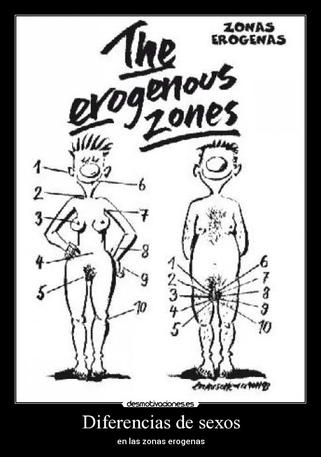 Diferencias de sexos - en las zonas erogenas