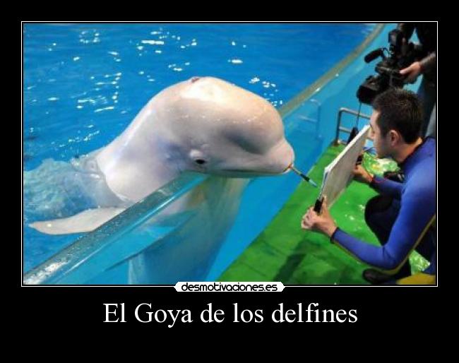 El Goya de los delfines -