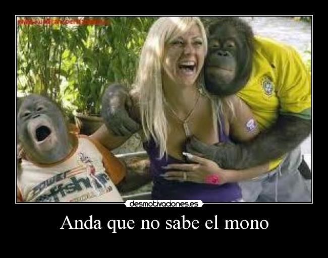 Anda que no sabe el mono - 