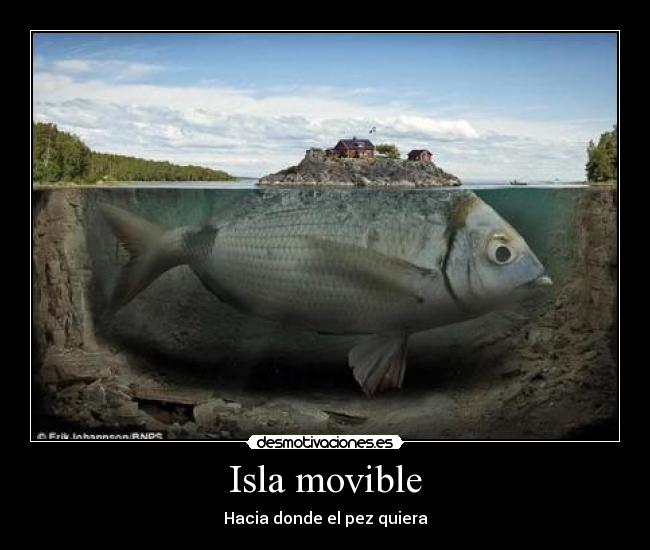 Isla movible - 
