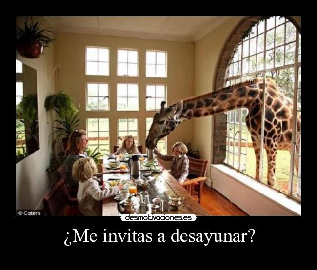¿Me invitas a desayunar? - 