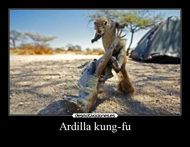 carteles ardi desmotivaciones