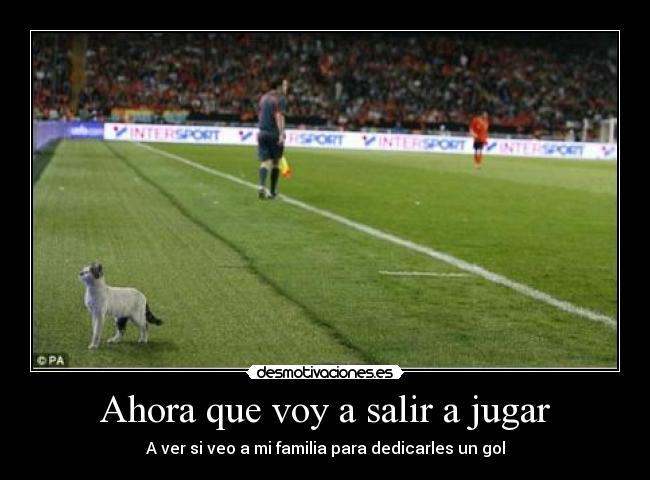 Ahora que voy a salir a jugar - A ver si veo a mi familia para dedicarles un gol