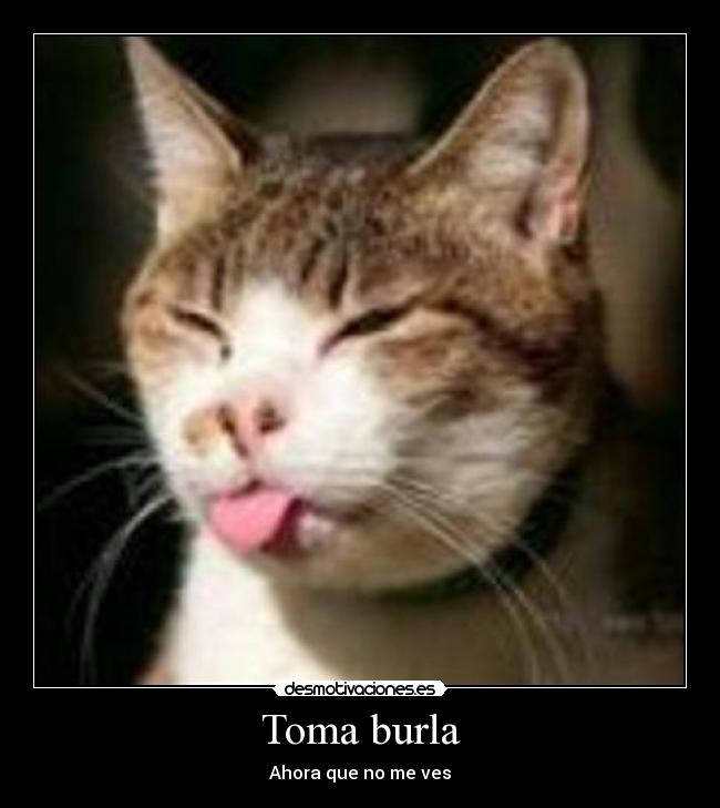Toma burla - Ahora que no me ves