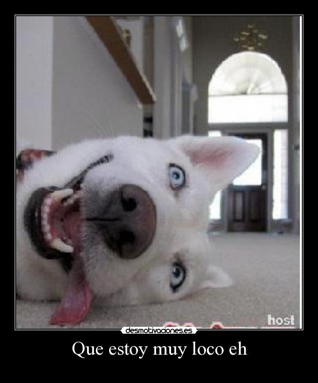 carteles fefeeeweweewewewew desmotivaciones