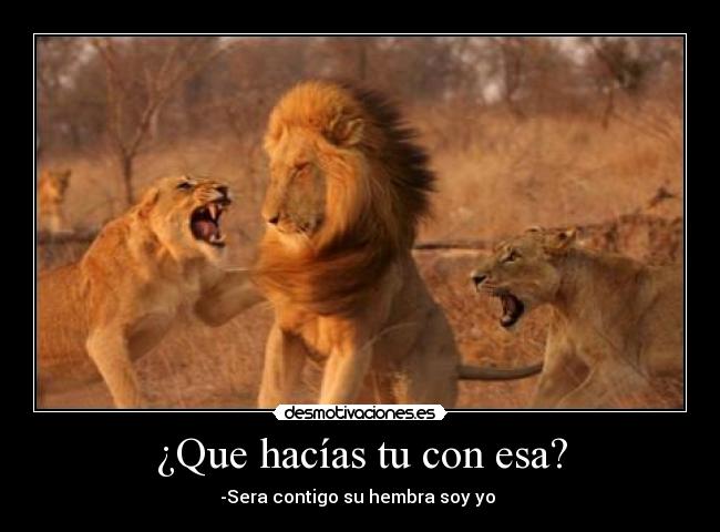 ¿Que hacías tu con esa? - -Sera contigo su hembra soy yo