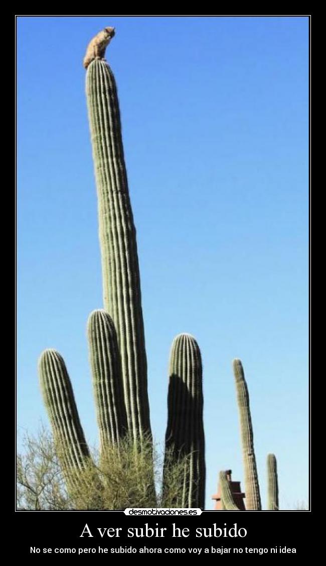 carteles jgdxxd desmotivaciones