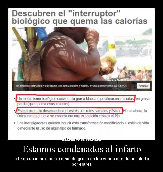 Estamos condenados al infarto - o te da un infarto por exceso de grasa en las venas o te da un infarto por estres