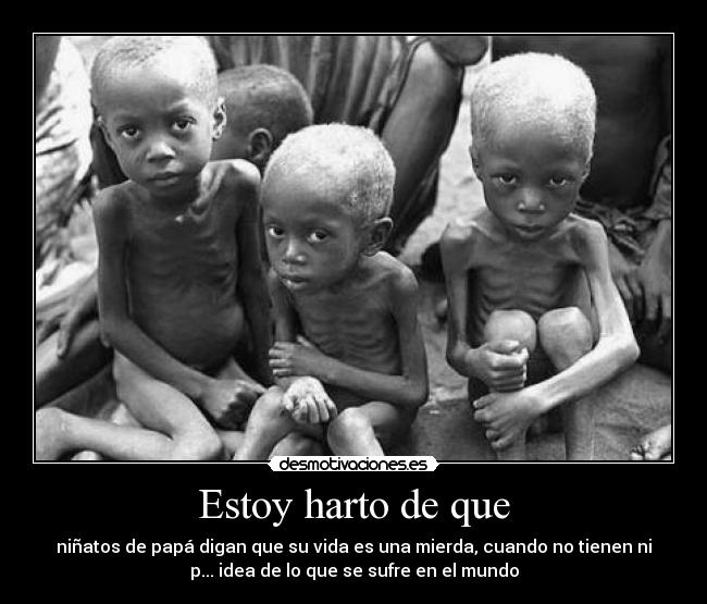 Estoy harto de que - niñatos de papá digan que su vida es una mierda, cuando no tienen ni
p... idea de lo que se sufre en el mundo