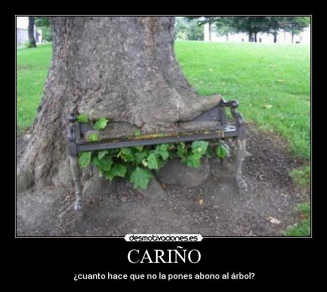 CARIÑO - 