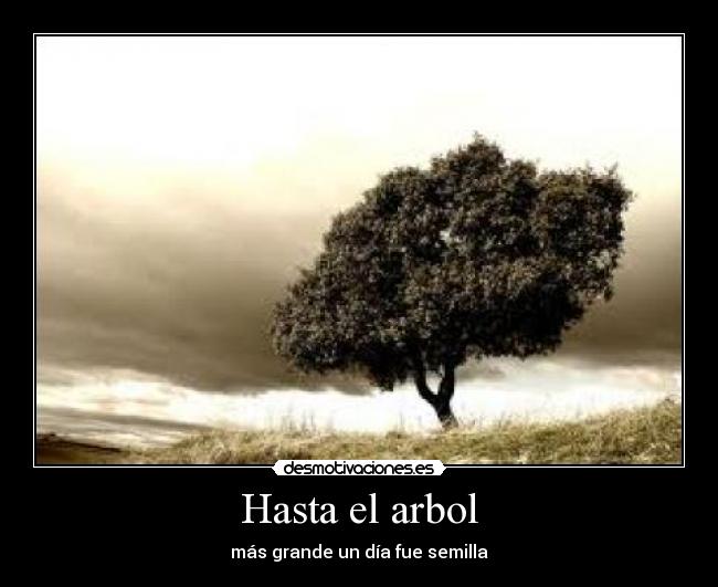 Hasta el arbol - más grande un día fue semilla