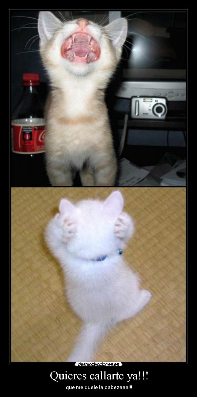 Quieres callarte ya!!! -