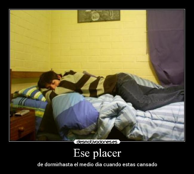 Ese placer - de dormirhasta el medio dia cuando estas cansado