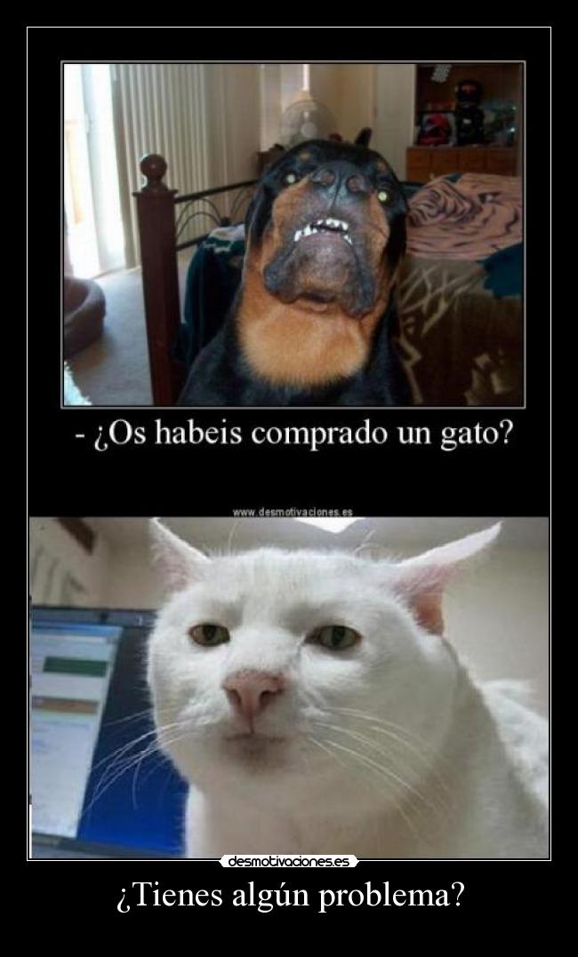 ¿Tienes algún problema? -