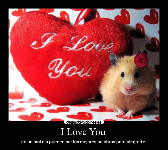 I Love You  - 