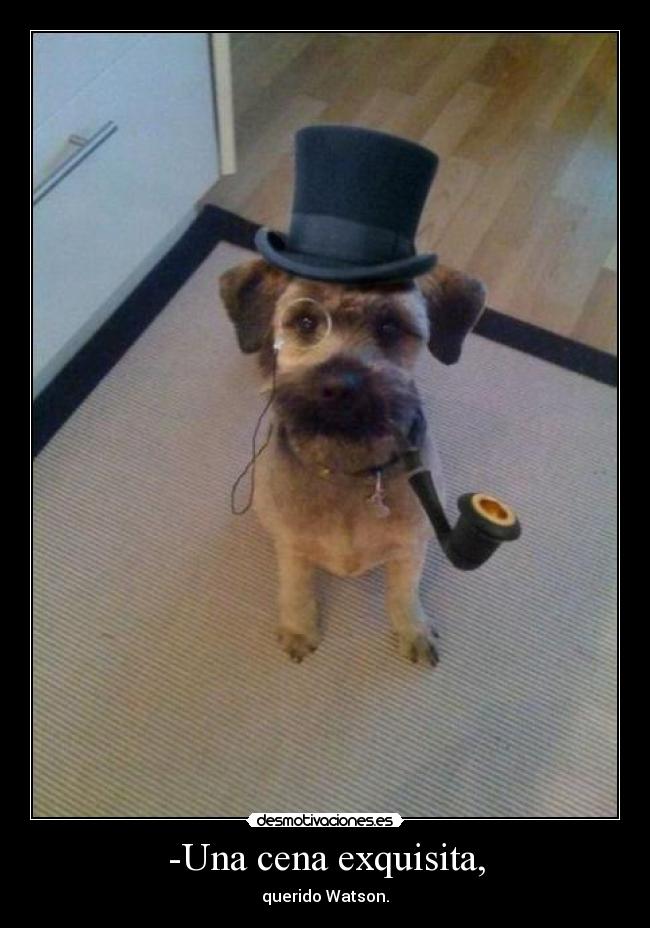-Una cena exquisita, - querido Watson.