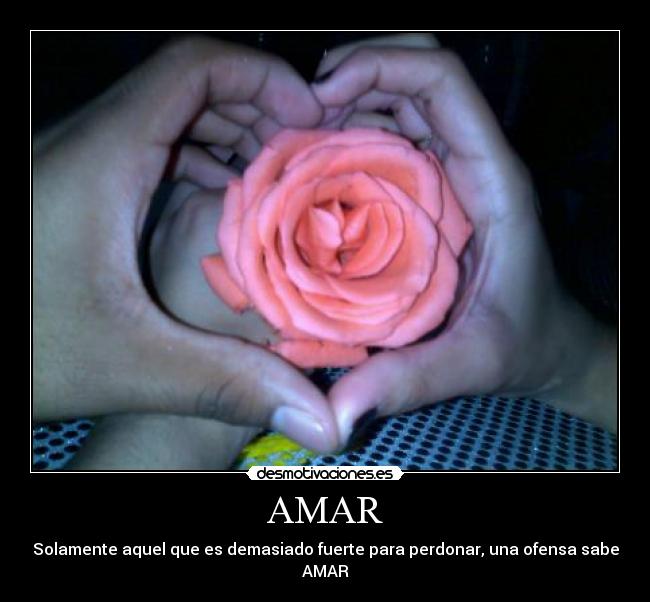 AMAR - 
