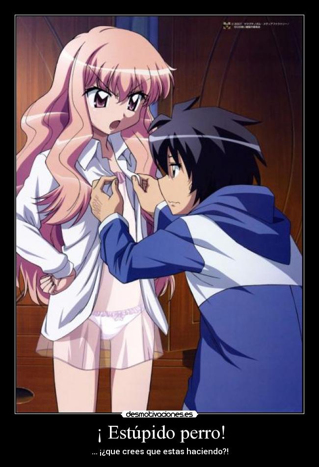 carteles zero tsukaima lobitozxc estaba aburrido pense hacer cartel esto desmotivaciones