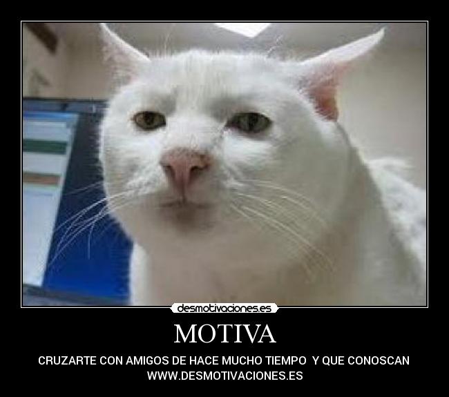 MOTIVA - CRUZARTE CON AMIGOS DE HACE MUCHO TIEMPO  Y QUE CONOSCAN 
WWW.DESMOTIVACIONES.ES