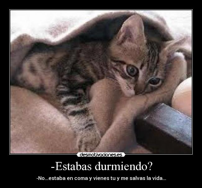 -Estabas durmiendo? - -No...estaba en coma y vienes tu y me salvas la vida...