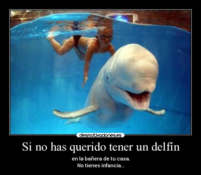 Si no has querido tener un delfín - 