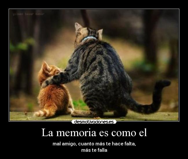 La memoria es como el - 