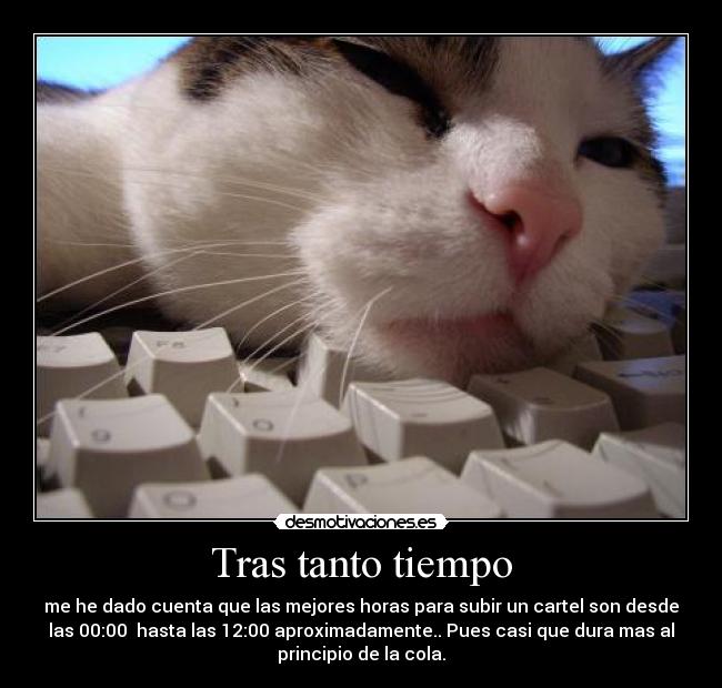 carteles asi desmotivaciones