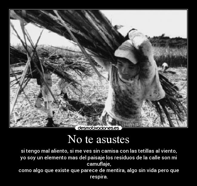 No te asustes - 