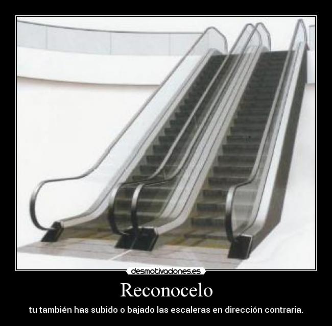 Reconocelo - 