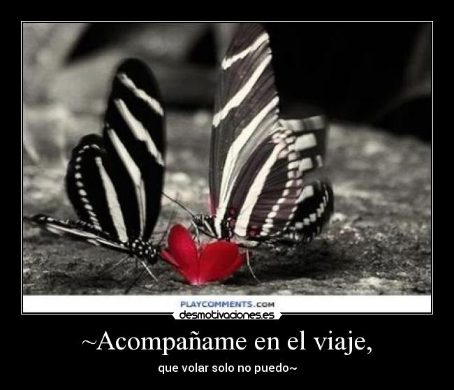 carteles venconmigo amor desmotivaciones