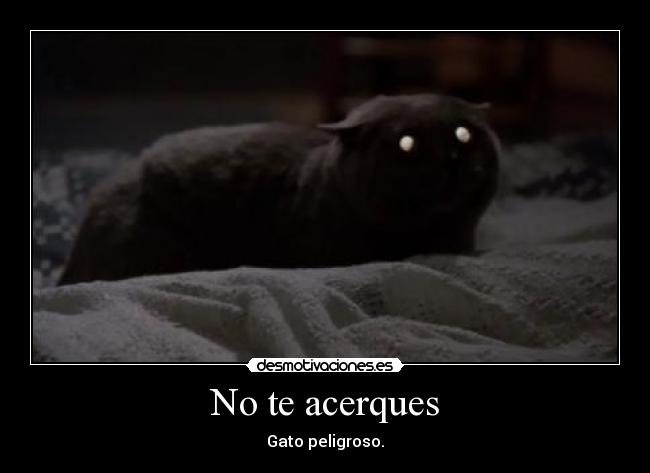 No te acerques -