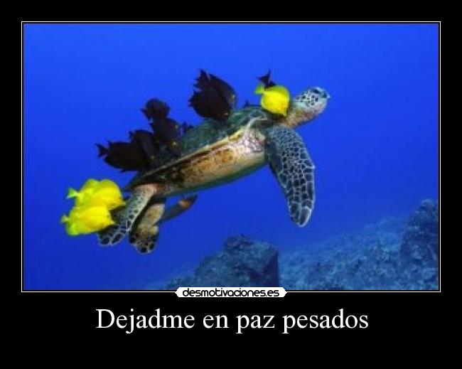 carteles  desmotivaciones