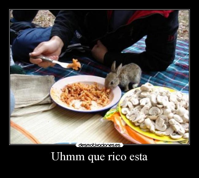 Uhmm que rico esta -
