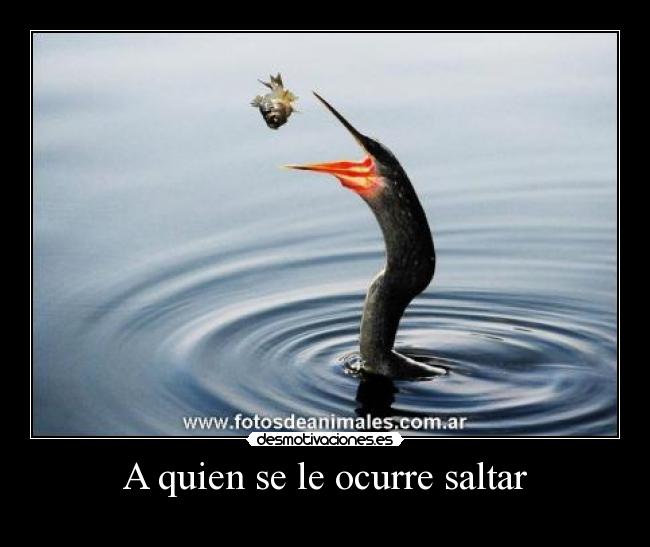 carteles nhvf desmotivaciones