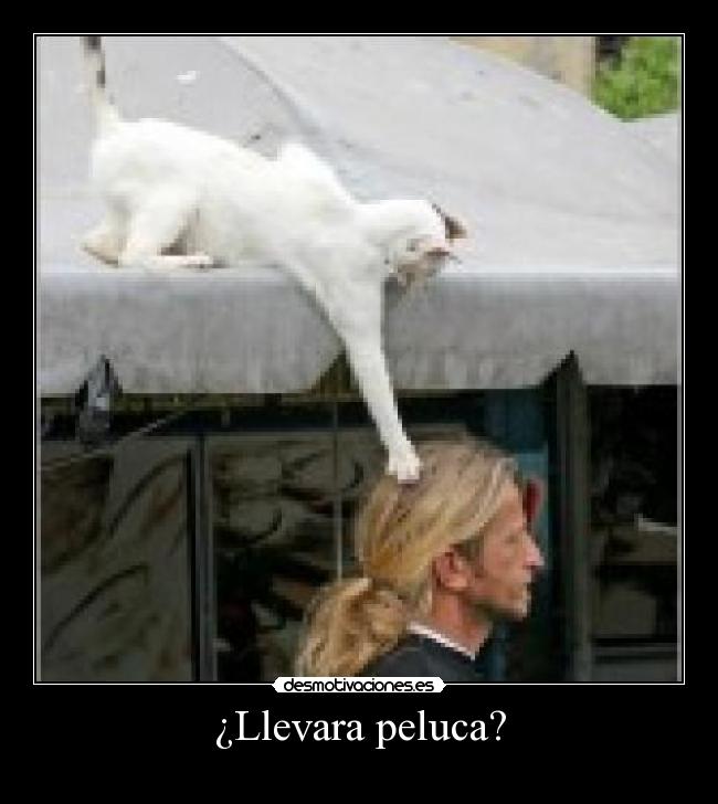 carteles sdfs desmotivaciones