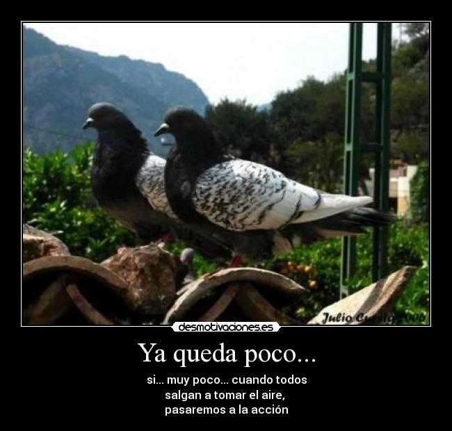 Ya queda poco... - si... muy poco... cuando todos
salgan a tomar el aire,
pasaremos a la acción