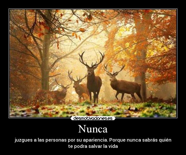 Nunca - 