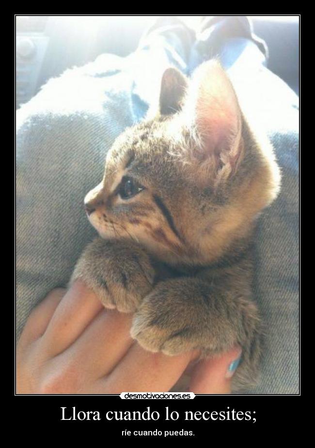 Llora cuando lo necesites; - ríe cuando puedas.