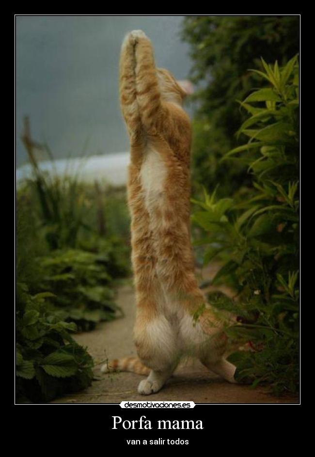 Porfa mama - van a salir todos