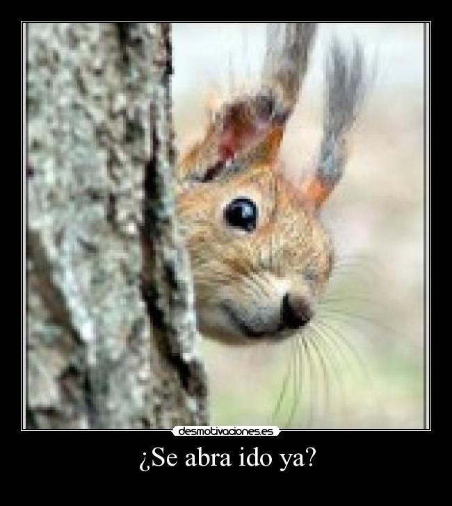 carteles asrd desmotivaciones