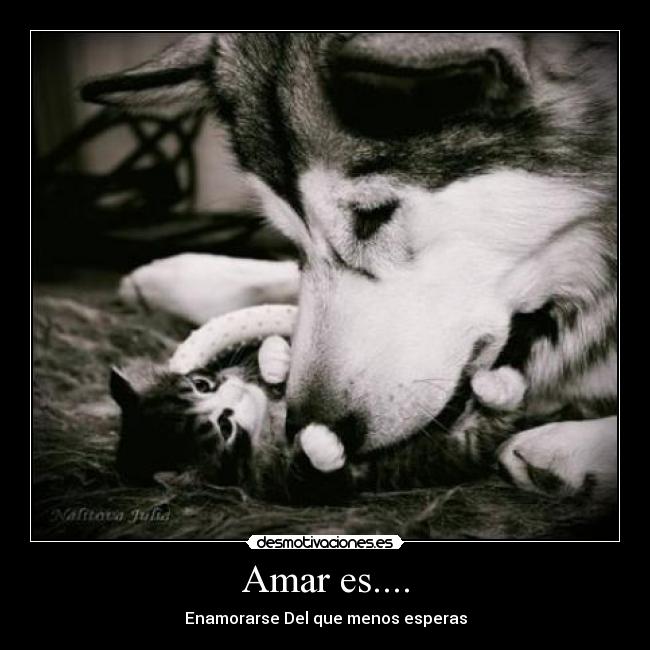 Amar es.... - Enamorarse Del que menos esperas