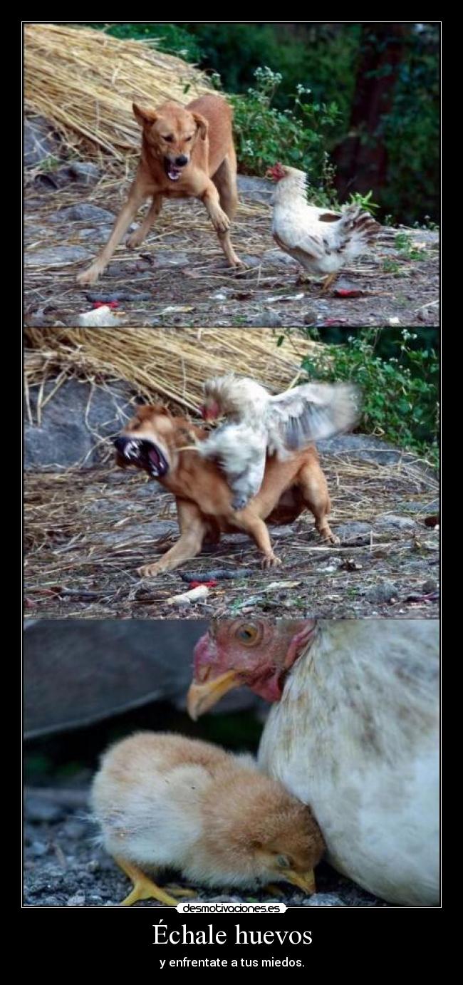 Échale huevos - y enfrentate a tus miedos.