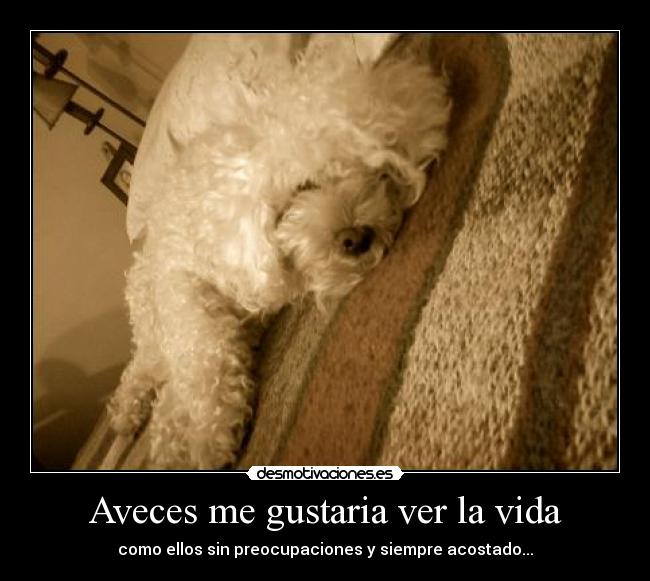 Aveces me gustaria ver la vida - 