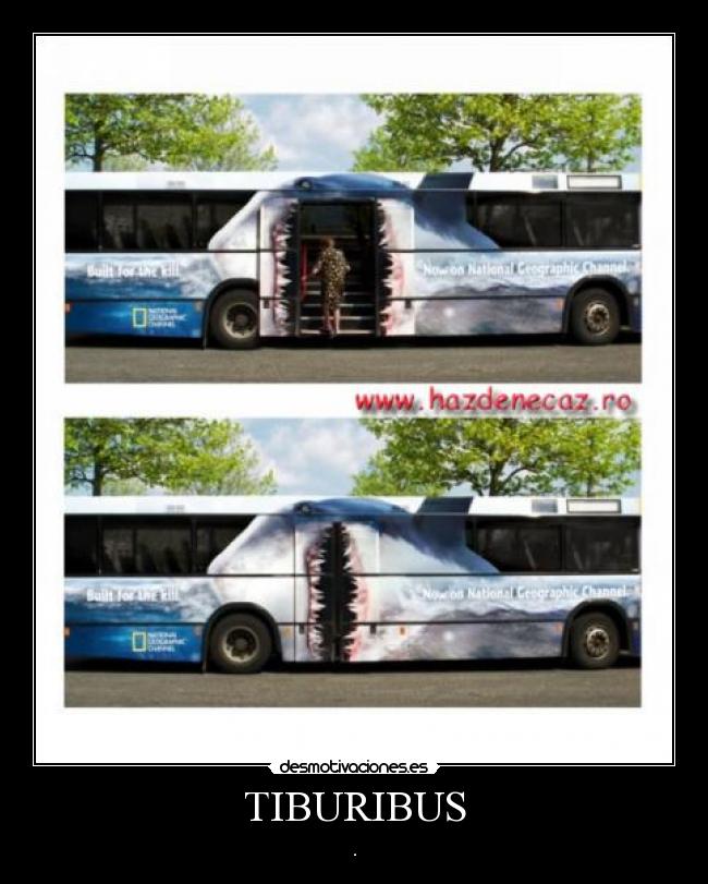 TIBURIBUS -